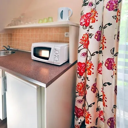 Vilkove Studia Tatry Holiday Apartment *