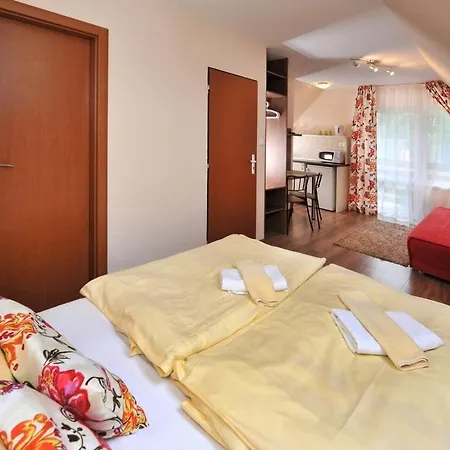 Vilkove Studia Tatry Holiday Apartment Nova Lesna